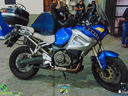 DSC08627.jpg