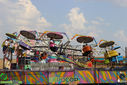 IMG_4530.jpg