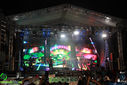 IMG_5380.jpg