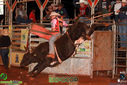 IMG_6279.jpg