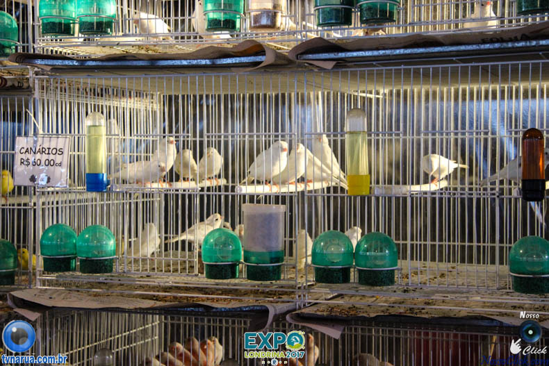 IMG_6044.jpg