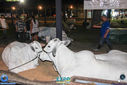 IMG_6171.jpg