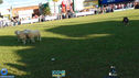 DSC03477.jpg