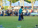 DSC03478.jpg