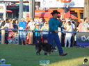 DSC03481.jpg