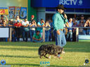 DSC03486.jpg
