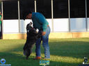 DSC03494.jpg