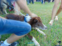 DSC03503.jpg