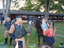 DSC03524.jpg