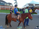 DSC03531.jpg