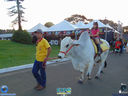 DSC03533.jpg