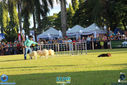 Filename=IMG_6783.jpg
Filesize=169KiB
Dimensions=790x527
Date added=Apr 03, 2017 IMG_6783.jpg