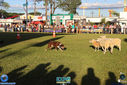 IMG_6788.jpg