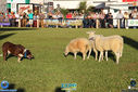 IMG_6789.jpg