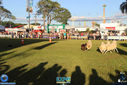 IMG_6790.jpg