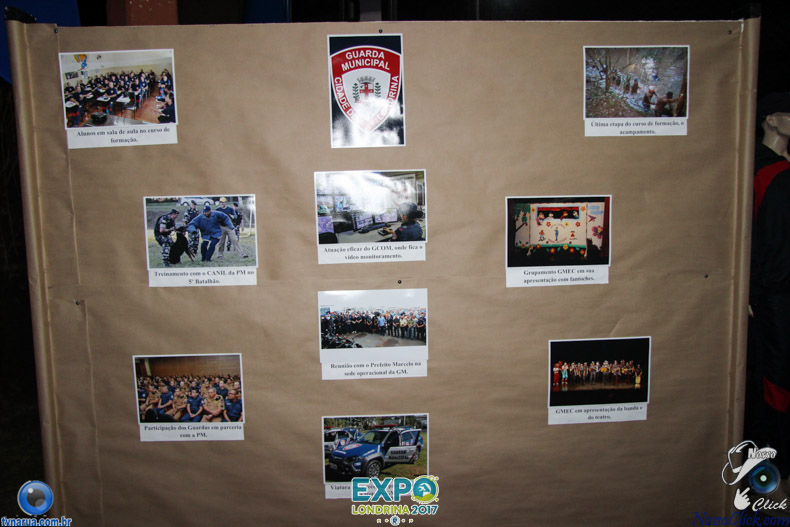 IMG_7510.jpg