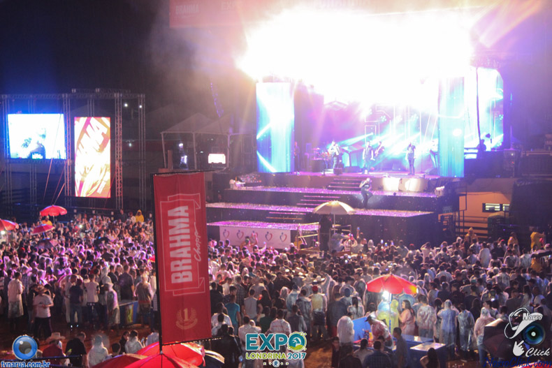 IMG_7972.jpg