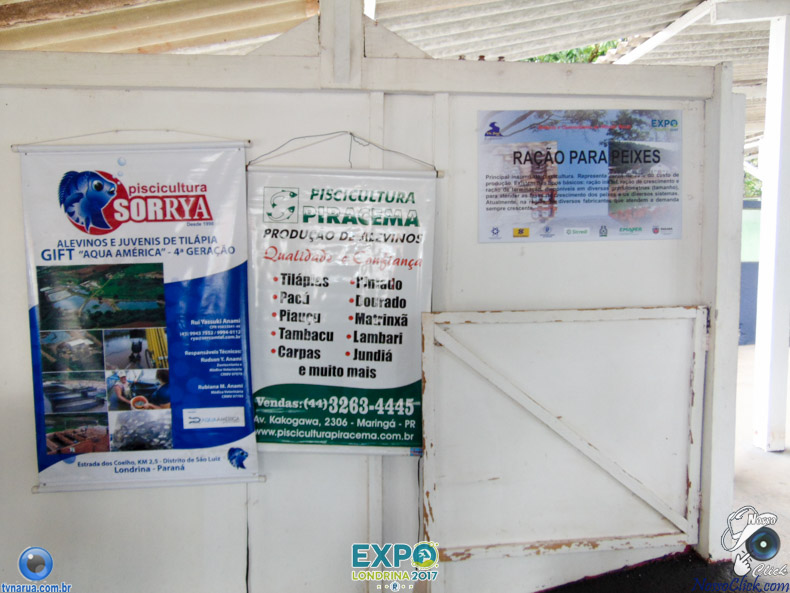 JDSC03751.jpg