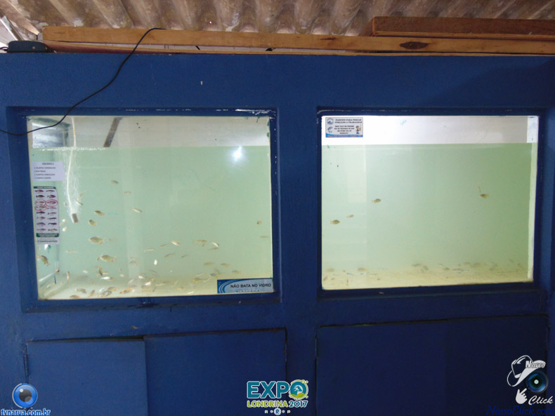 JDSC03752.jpg