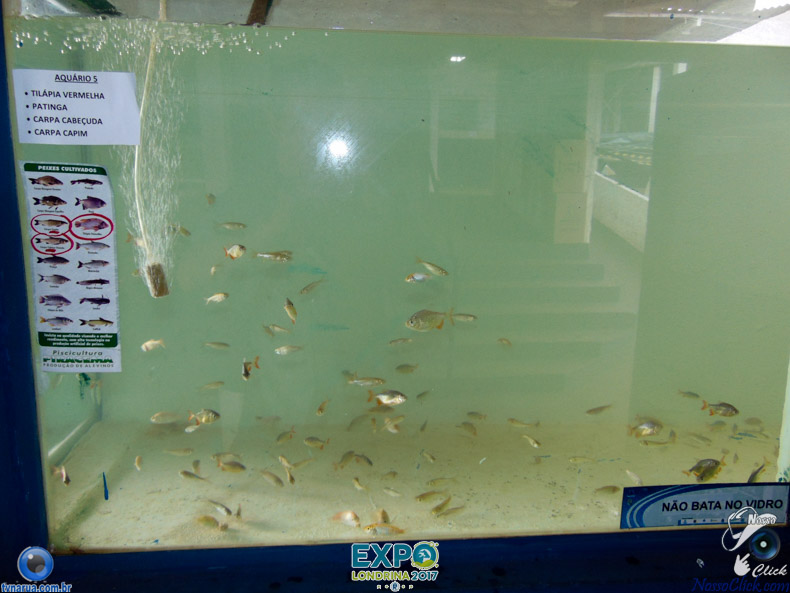 JDSC03755.jpg