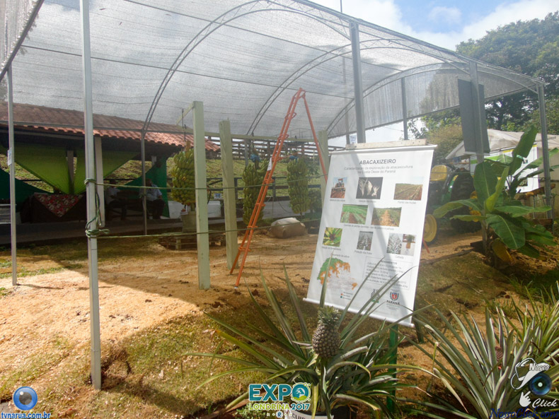 JDSC03767.jpg