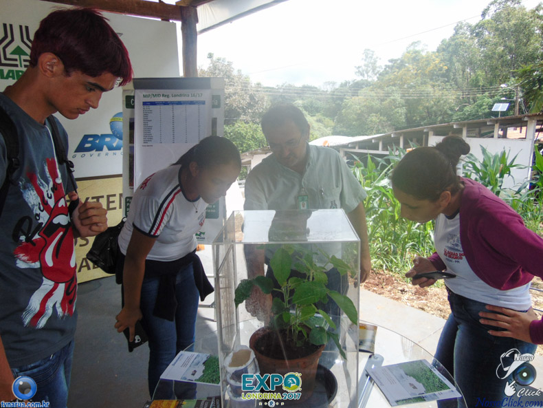 JDSC03782.jpg