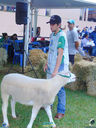 JDSC03654.jpg