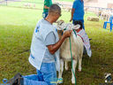 JDSC03657.jpg