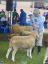 JDSC03658.jpg