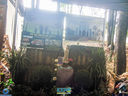 JDSC03687.jpg