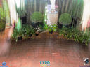 JDSC03688.jpg