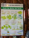 JDSC03731.jpg