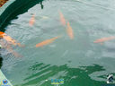 JDSC03765.jpg