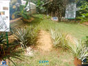 JDSC03766.jpg