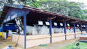 JDSC03818.jpg