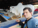 JDSC03854.jpg