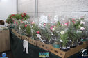 Filename=IMG_8979.jpg
Filesize=164KiB
Dimensions=790x527
Date added=Apr 11, 2017 IMG_8979.jpg