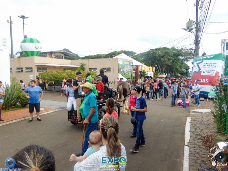 DSC08164.jpg