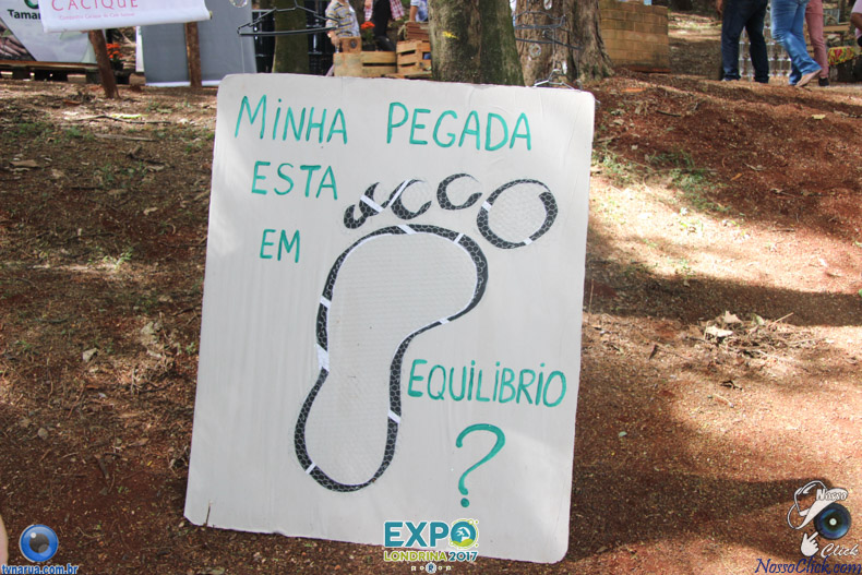 IMG_9546.jpg