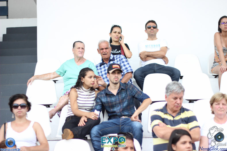 IMG_9646.jpg