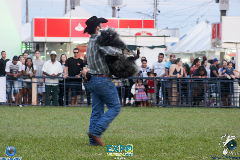 IMG_9883.jpg