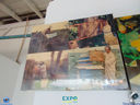 DSC07975.jpg