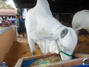 DSC08023.jpg