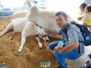 DSC08033.jpg
