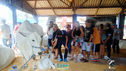 DSC08036.jpg