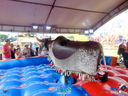 DSC08066.jpg