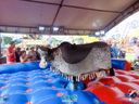 DSC08067.jpg