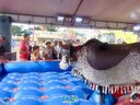DSC08068.jpg