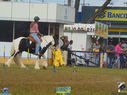 DSC08105.jpg