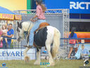 DSC08106.jpg